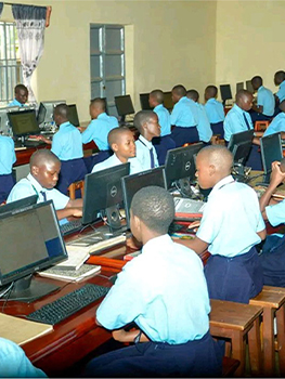 New Programming Courses Launched